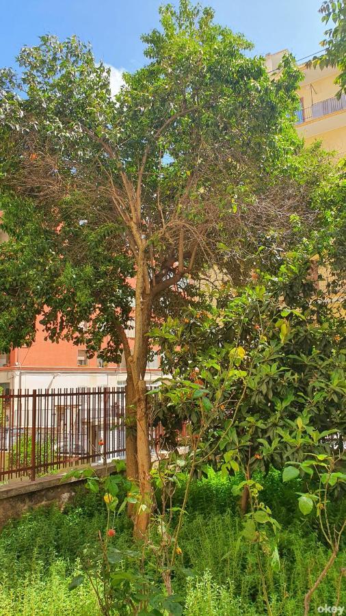 Star House - Bari Centro Apartment Luaran gambar